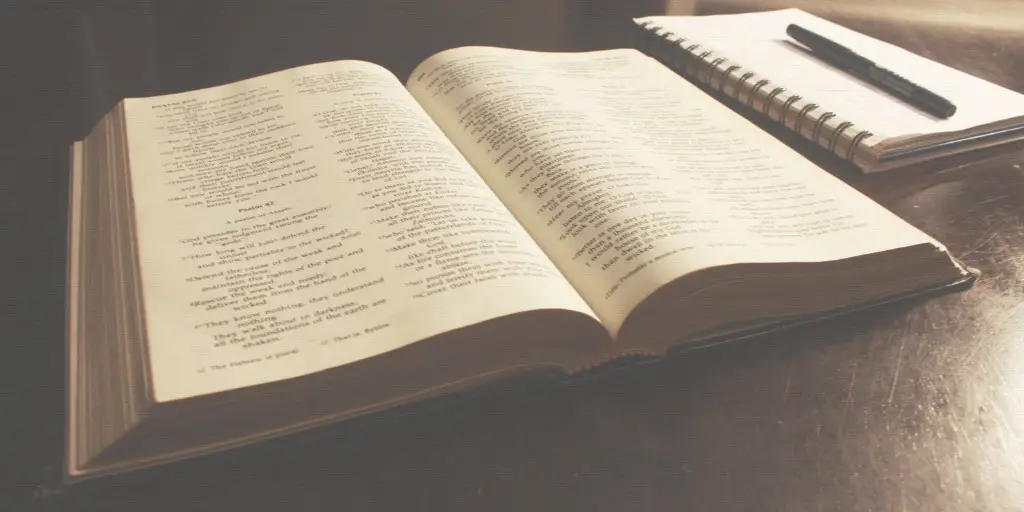 The Top 5 Bible Translations (and which is right for you!)