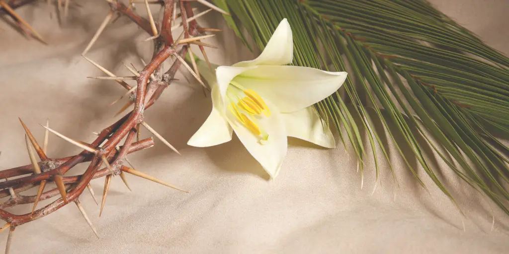 A crown of thorns sits amongst a flower and a palm frond on a table.