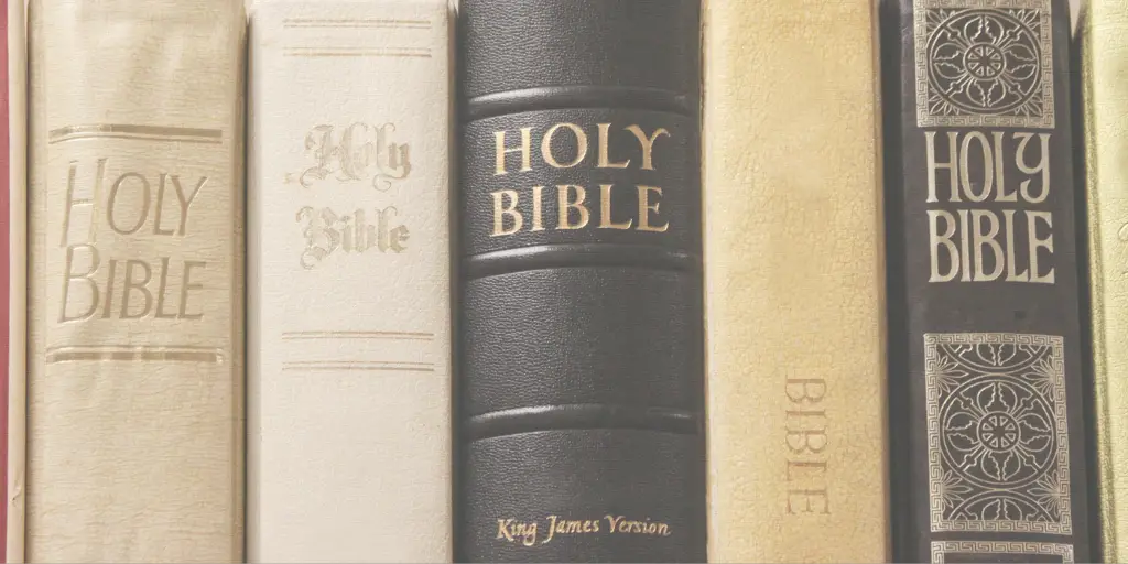 Five Holy Bibles stand side by side against each other.