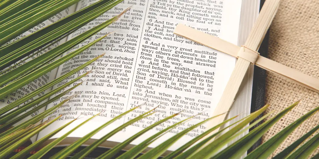 A palm frond and a cross sit atop an open bible.